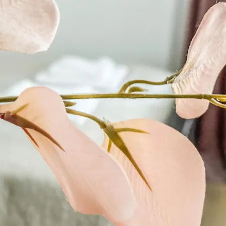 E 200m Do Plazy Apartment Sopot