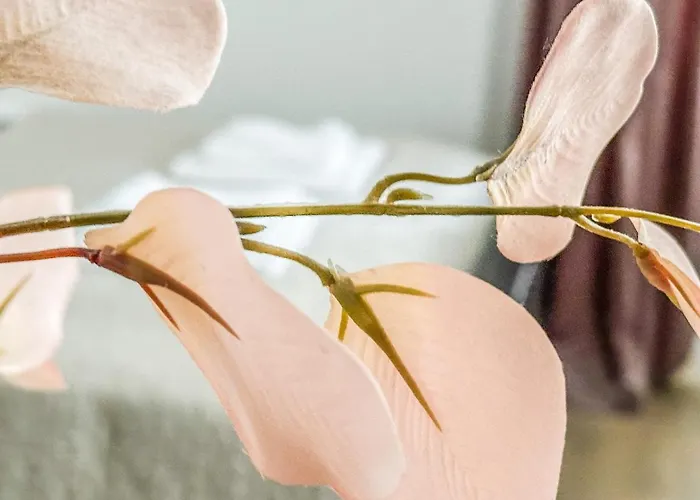 E 200m Do Plazy Apartman Sopot